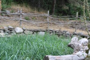 Accueil rafting Dormir en Bulle