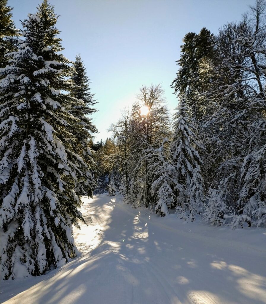 Neige à Barcelonnette