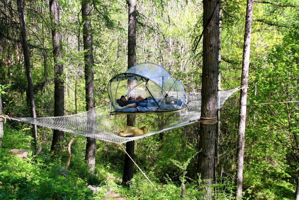 Nuit en Bulle en Famille au milieu des arbres