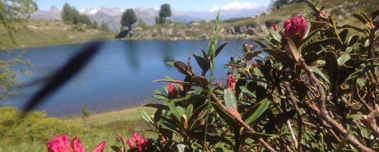 lac du lauzet Ubaye