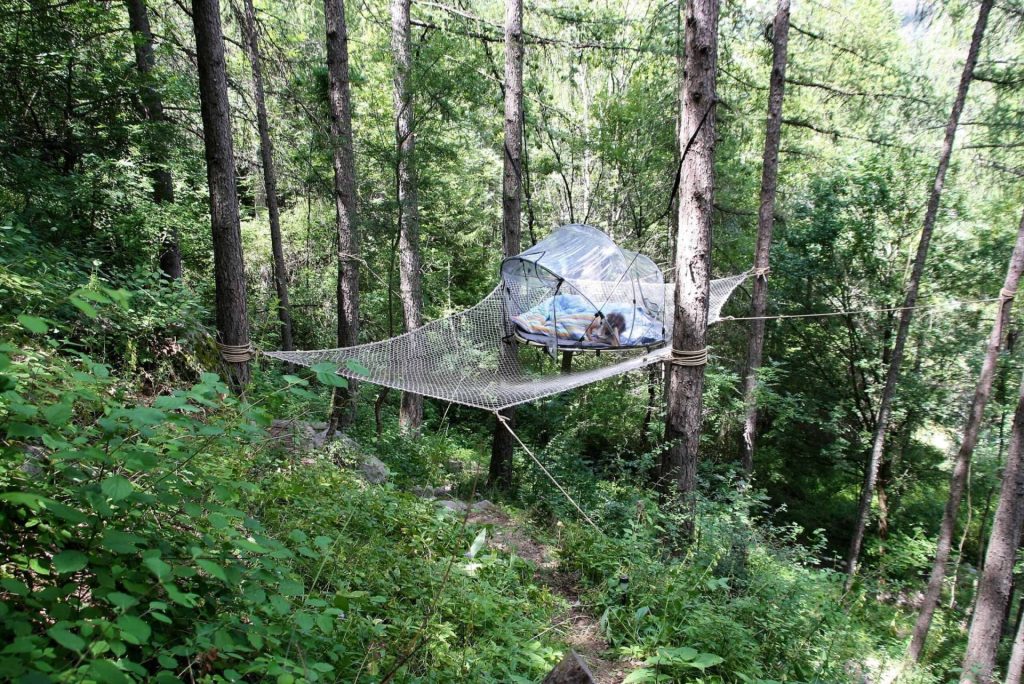 Ongebruikelijke accommodatie in een bubbel in de bomen