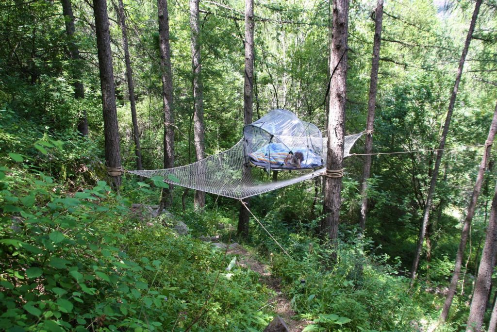 Tente bulle dans les arbres
