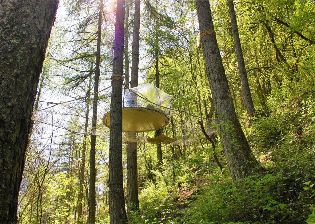 Slapen in een bubbel in een bos van Ubaye