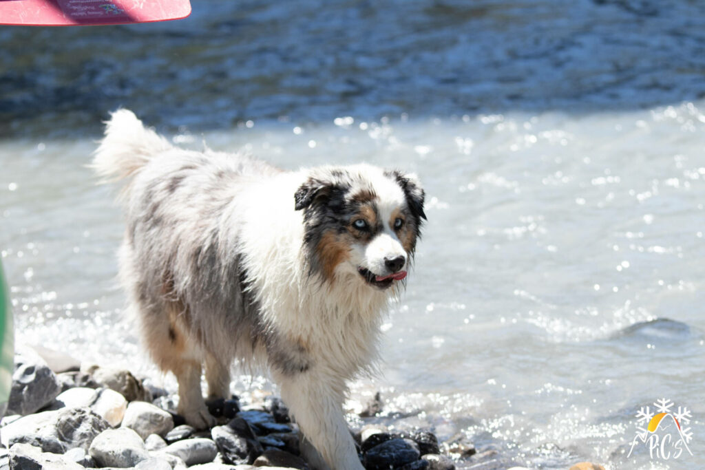 het gekke waterraftingteam